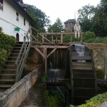 Maison d'hôtes Bucicky Mlyn *